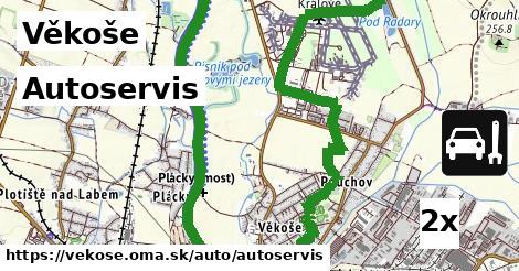 Autoservis, Věkoše