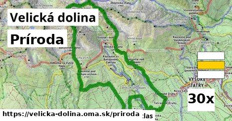 príroda v Velická dolina