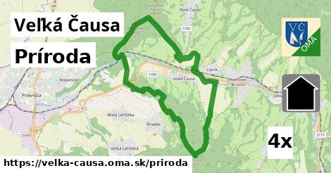 príroda v Veľká Čausa