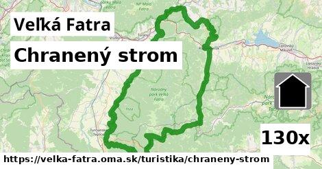 Chranený strom, Veľká Fatra