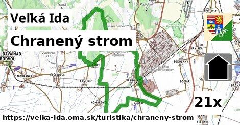 Chranený strom, Veľká Ida