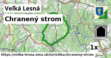 Chranený strom, Veľká Lesná