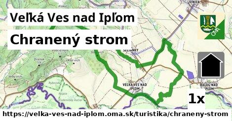 chranený strom v Veľká Ves nad Ipľom