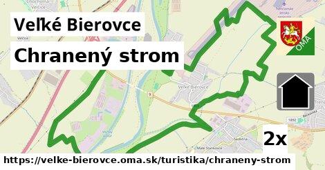 Chranený strom, Veľké Bierovce