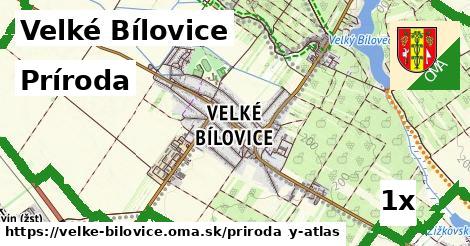 príroda v Velké Bílovice