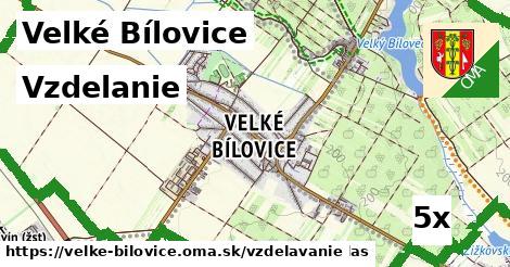 vzdelanie v Velké Bílovice