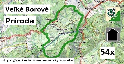 príroda v Veľké Borové