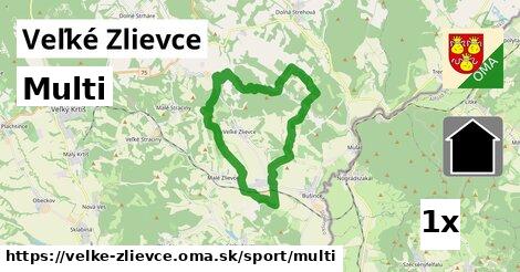 multi v Veľké Zlievce