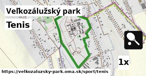 Tenis, Veľkozálužský park