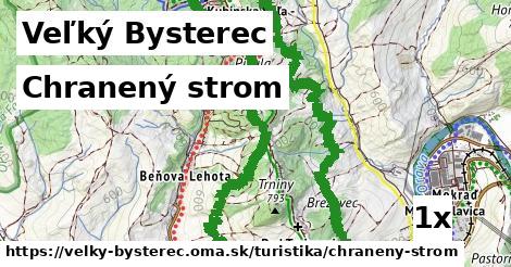 Chranený strom, Veľký Bysterec