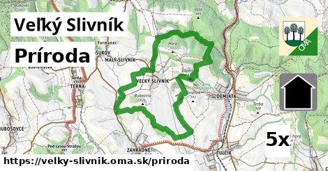 príroda v Veľký Slivník