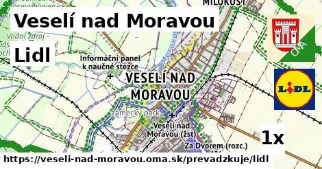 Lidl v Veselí nad Moravou