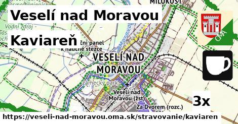 Kaviareň, Veselí nad Moravou