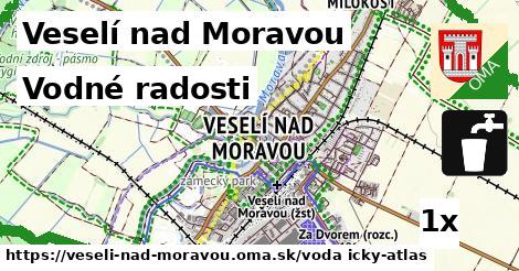 vodné radosti v Veselí nad Moravou