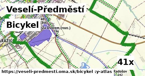 bicykel v Veselí-Předměstí