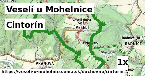 Cintorín, Veselí u Mohelnice