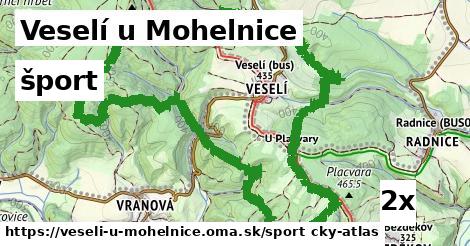 šport v Veselí u Mohelnice