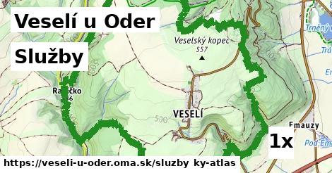 služby v Veselí u Oder