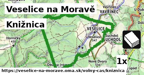 Knižnica, Veselice na Moravě