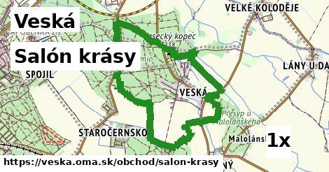 salón krásy v Veská