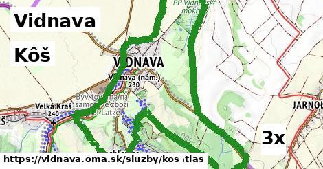 Kôš, Vidnava