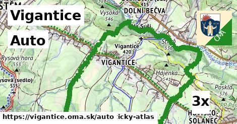 auto v Vigantice