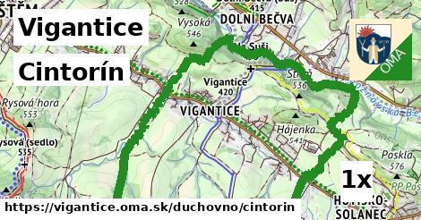 Cintorín, Vigantice