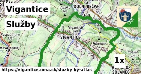 služby v Vigantice
