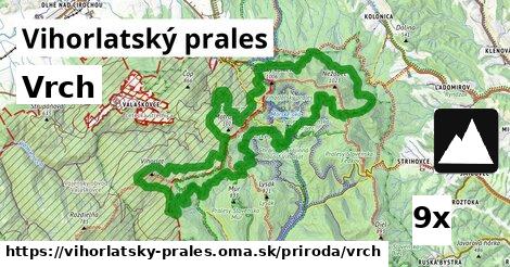 vrch v Vihorlatský prales