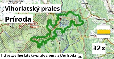 príroda v Vihorlatský prales