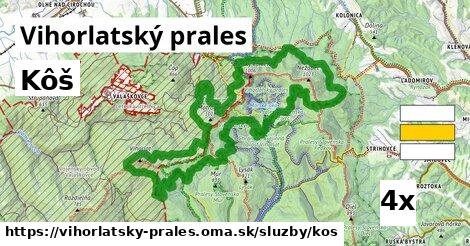 Kôš, Vihorlatský prales