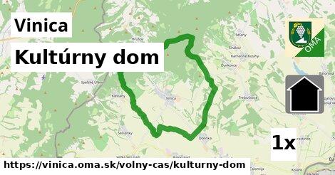 Kultúrny dom, Vinica