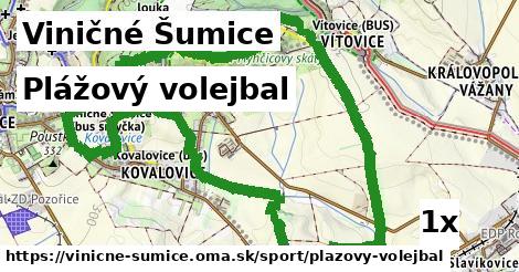 Plážový volejbal, Viničné Šumice