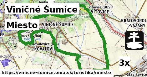 Miesto, Viničné Šumice