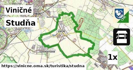 Studňa, Viničné