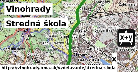 Stredná škola, Vinohrady