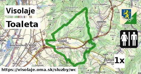 Toaleta, Visolaje