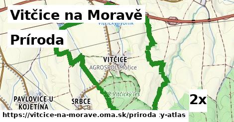 príroda v Vitčice na Moravě
