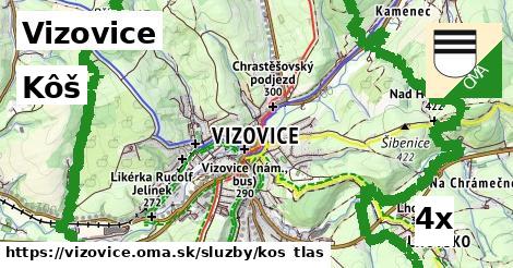 Kôš, Vizovice