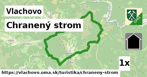 Chranený strom, Vlachovo