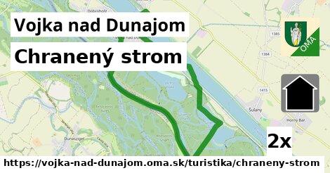 Chranený strom, Vojka nad Dunajom