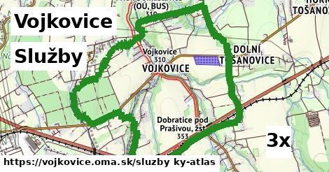 služby v Vojkovice