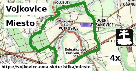 Miesto, Vojkovice