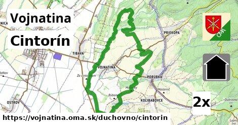 Cintorín, Vojnatina