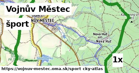šport v Vojnův Městec