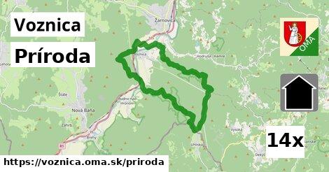 príroda v Voznica