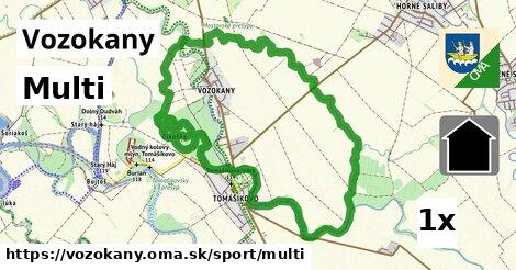 Multi, Vozokany