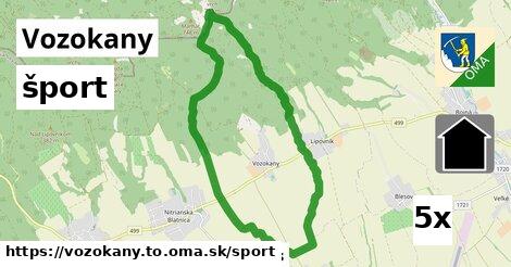 šport v Vozokany, okres TO