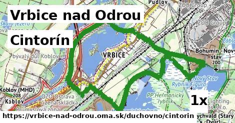 cintorín v Vrbice nad Odrou