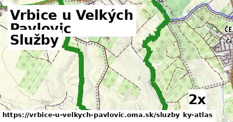 služby v Vrbice u Velkých Pavlovic